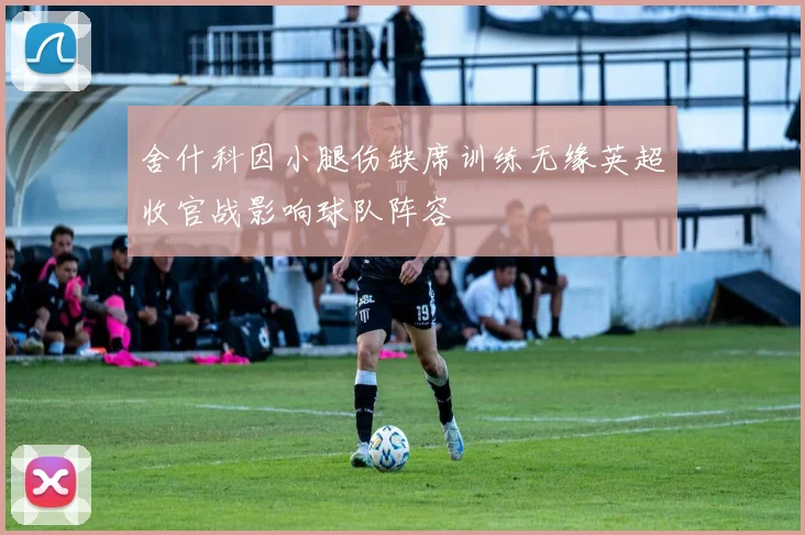 舍什科因小腿伤缺席训练无缘英超收官战影响球队阵容