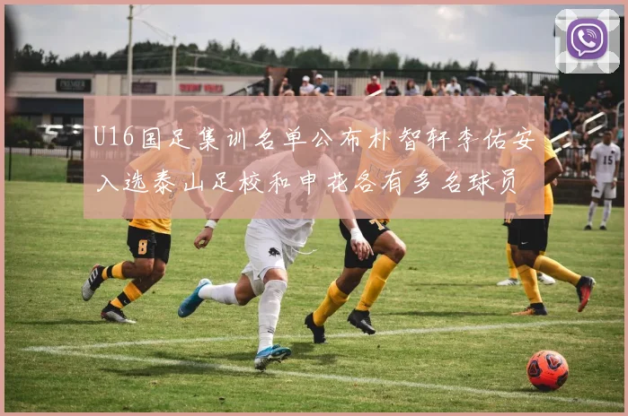 U16国足集训名单公布朴智轩李佑安入选泰山足校和申花各有多名球员参与