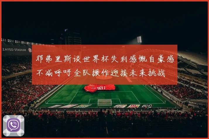 邓弗里斯谈世界杯失利感慨自豪感不减呼吁全队振作迎接未来挑战