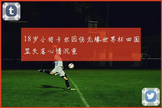 18岁小将卡尔因伤无缘世界杯回国显失落心情沉重